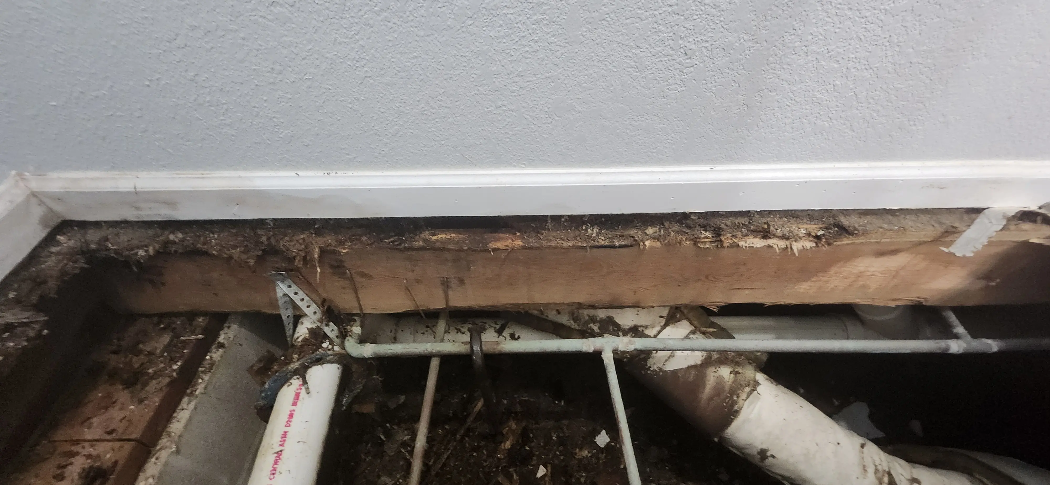 Picture showing rotting wood under other wall