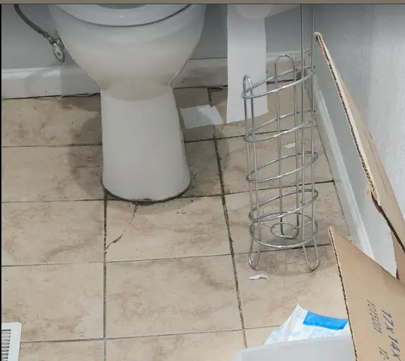 Picture of toilet sinking into the floor