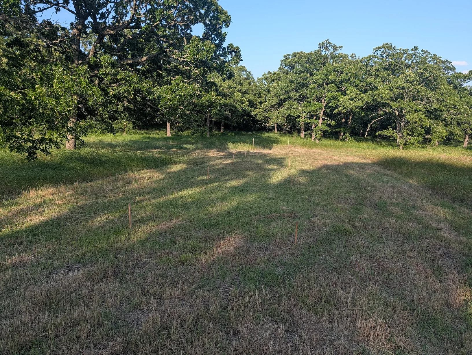 Field staked out for the panel-rack post holes
