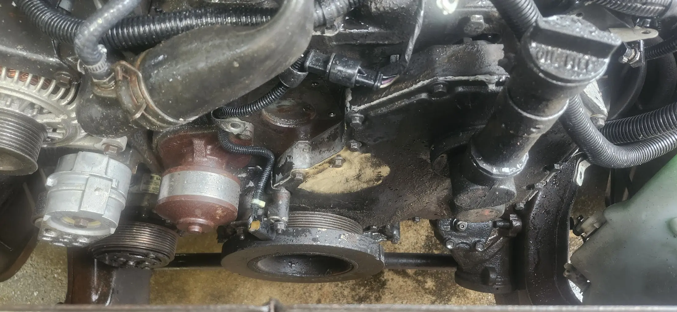 Same as previous picture, but, cleaned with a pressure washer. Still wet.