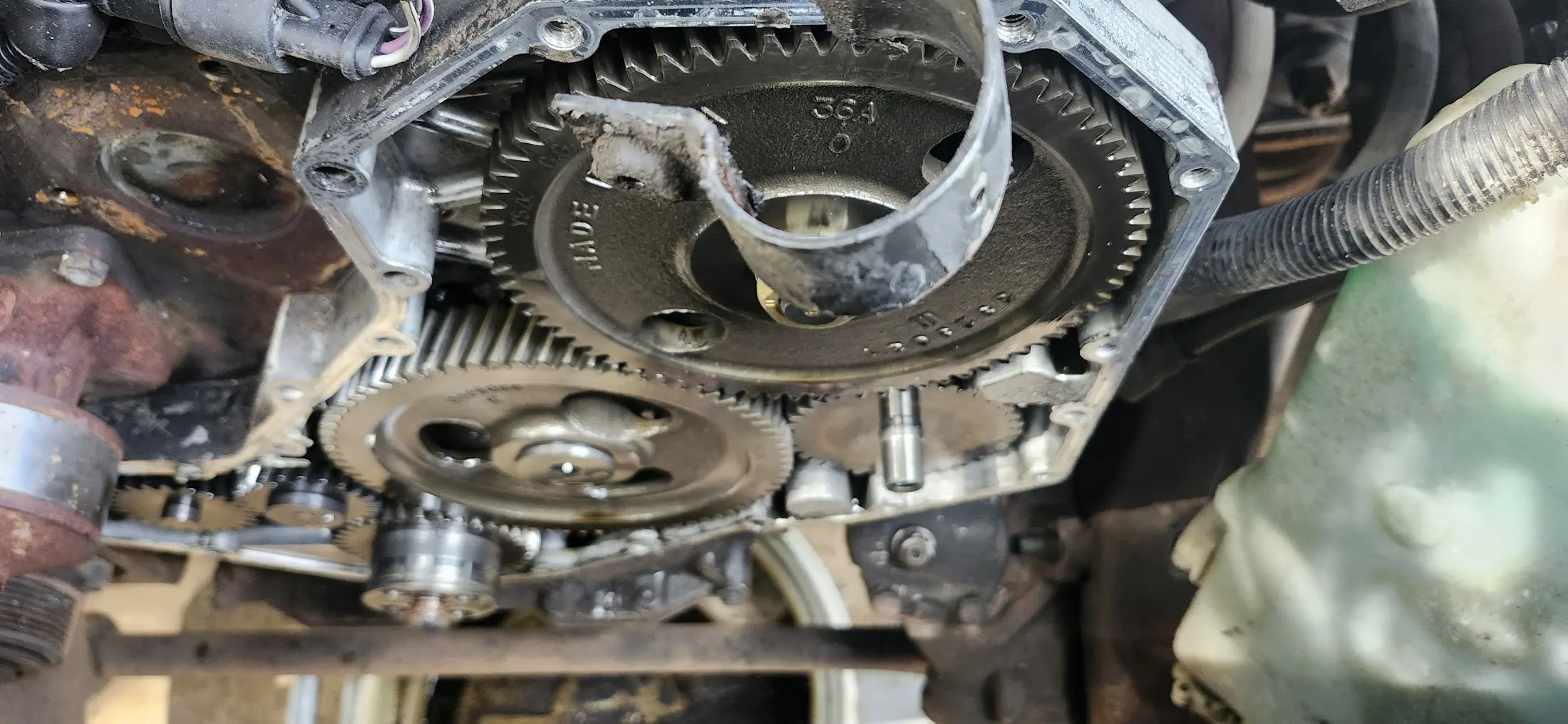 Showing the timing gears behind the timing cover