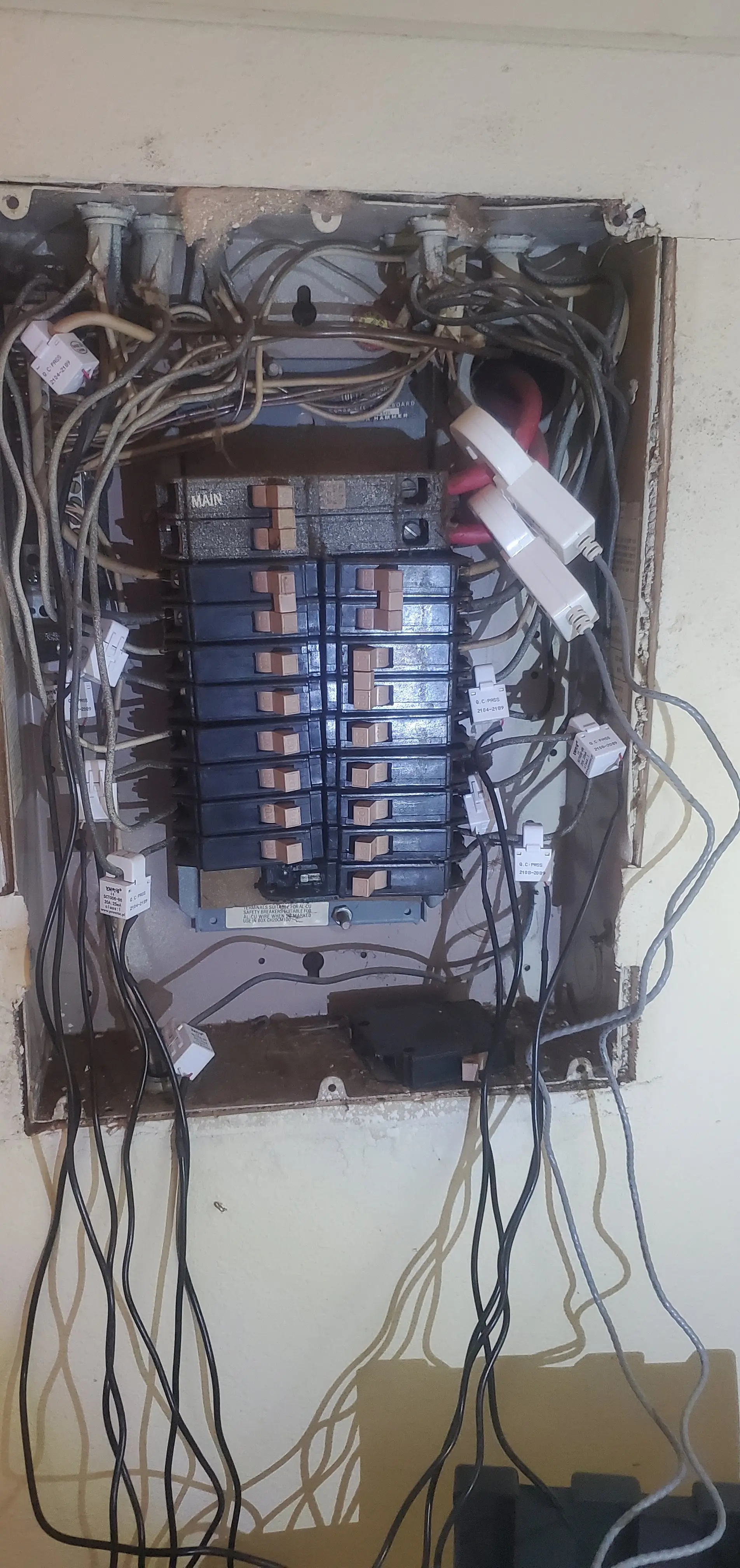 Original Panel