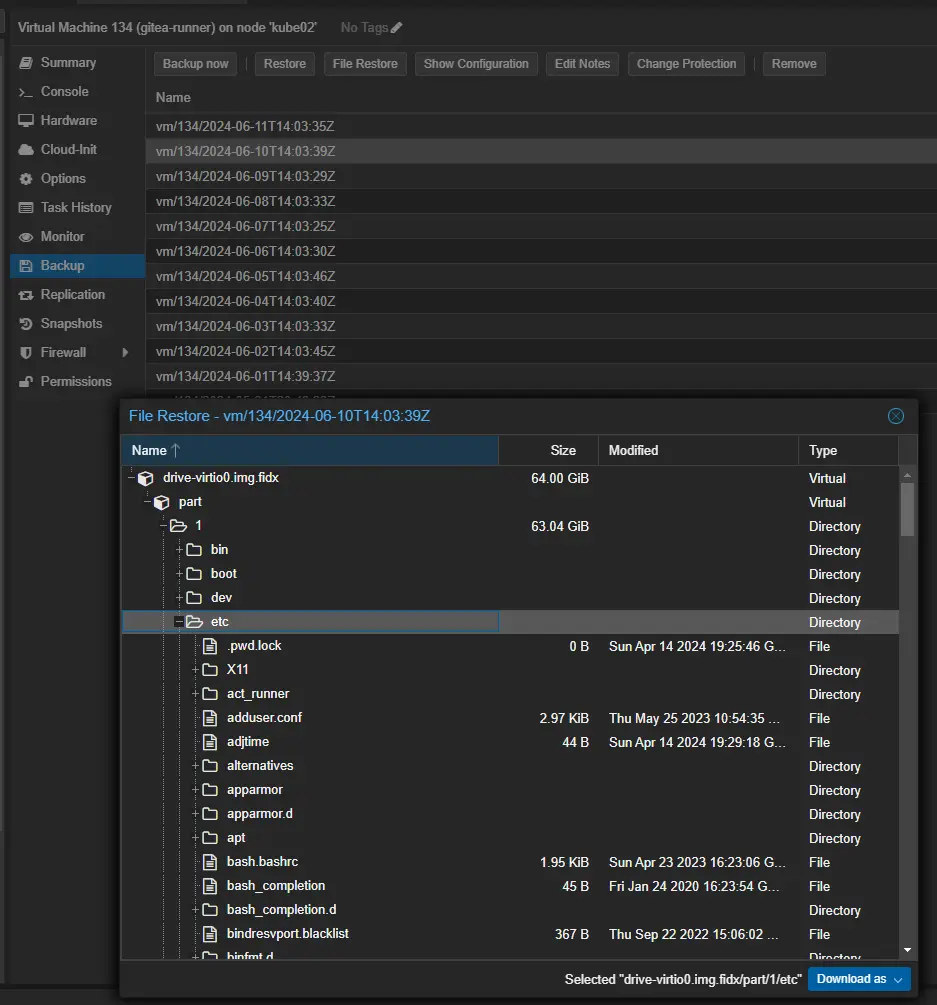 Image showing a file-level restore from a specific backup in time